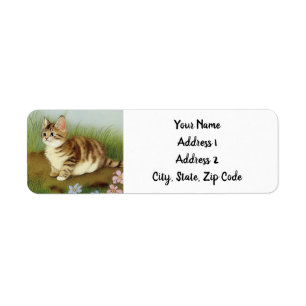 Vintage Kitten Illustration mit Blume