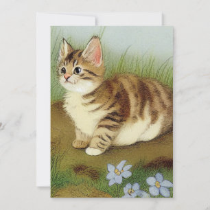 Vintage Kitten Illustration mit Blume Einladung