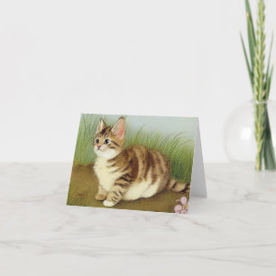 Vintage Kitten Illustration mit Blume Einladung