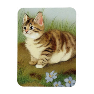 Vintage Kitten Illustration mit Blume Magnet