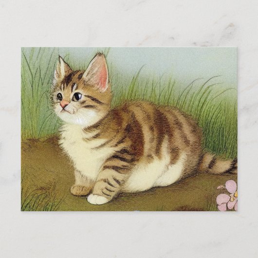 Vintage Kitten Illustration mit Blume Postkarte (Vorderseite)