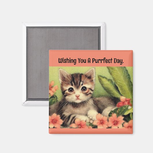Vintage Kitten in Blume Magnet (Vorderseite/Rückseite)