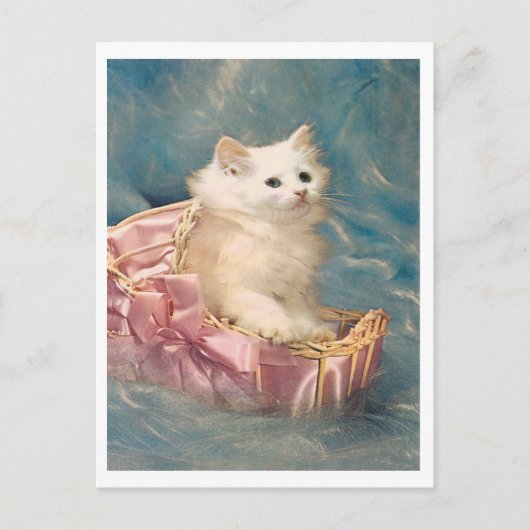 Vintage Kitty Postkarte (Vorderseite)