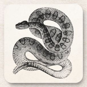 Vintage Klapperschlange Reptil Schlangen Vorlage Untersetzer