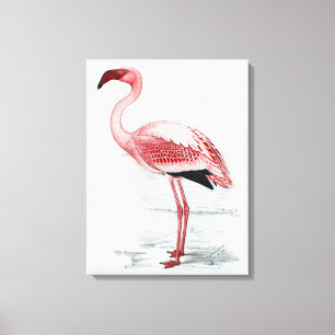 Vintage Kleiner Flamingo Claude Gibney Finch Davie Leinwanddruck