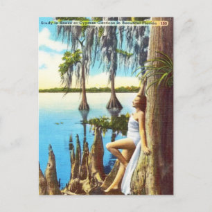 Vintage Knie in Cypress Gardens in Florida Postkarte