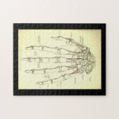 Vintage Knochen der Anatomie-| der Hand Puzzle (Horizontal)