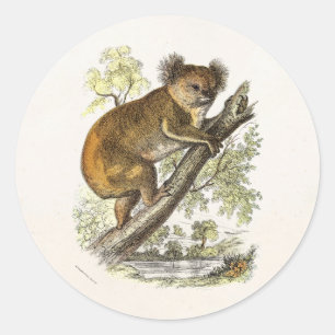 Vintage Koala-Bärenverkleidung 1800 Bären Koalas Runder Aufkleber