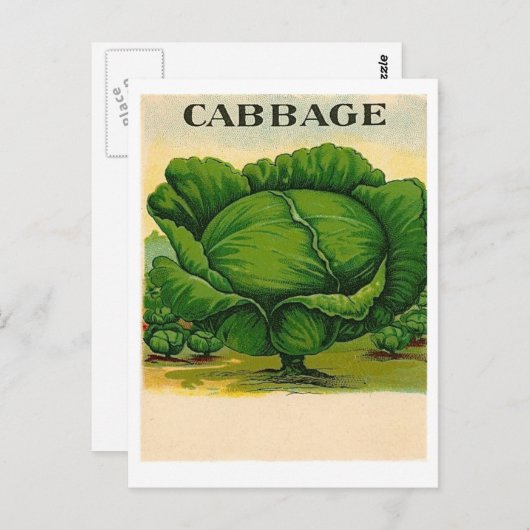 Vintage Kohlsamen-Postkarte Postkarte (Vorne/Hinten)