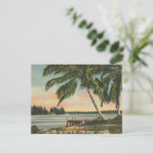 Vintage Kokospalmen Tropischer Sonnenuntergang Postkarte (Stehend Vorderseite)