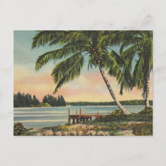 Vintage Kokospalmen Tropischer Sonnenuntergang Postkarte