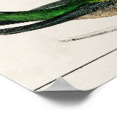 Vintage Kolibri-Abbildung Poster (Ecke)