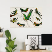 Vintage Kolibri-Abbildung Poster (Heimbüro)