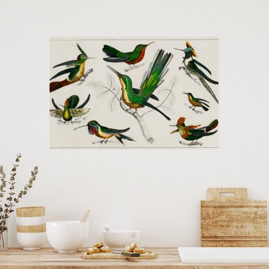 Vintage Kolibri-Abbildung Poster (Küche)