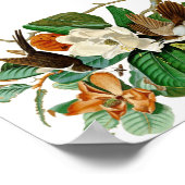 Vintage Kolibri-Abbildung Poster (Ecke)