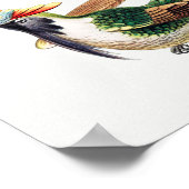 Vintage Kolibri-Abbildung Poster (Ecke)