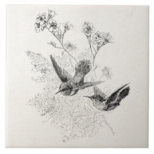 Vintage Kolibri-Antiken-Vogel-Schablone Fliese