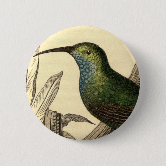Vintage Kolibri-Button Button (Vorderseite)