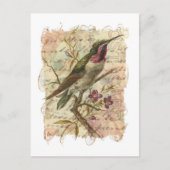 Vintage Kolibri Collage Postkarte (Vorderseite)