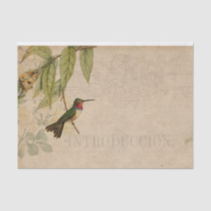 Vintage Kolibri-Ephemera Seidenpapier