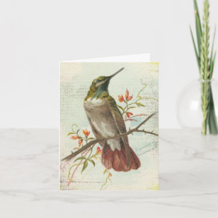Vintage Kolibri, Geburtstag Karte
