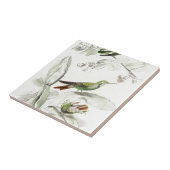 Vintage Kolibri-Illustration - Vögel 1800's Fliese (Seite)