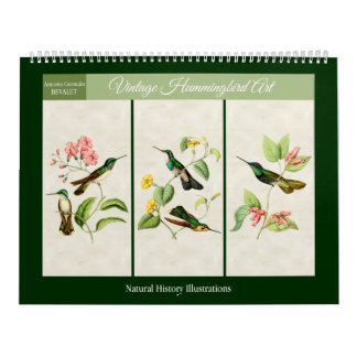 Vintage Kolibri-Kunst 2027 Kalender