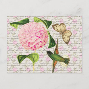 Vintage Kolibri Schmetterling und Caryophyllus Postkarte