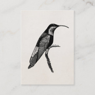 Vintage-Kolibri-Vogelillustrationsvorlage Visitenkarte