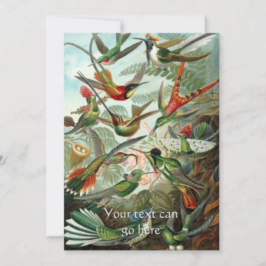Vintage Kolibris Einladung (Vorderseite)
