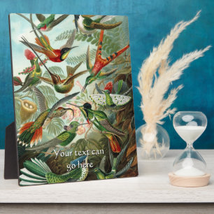 Vintage Kolibris Fotoplatte