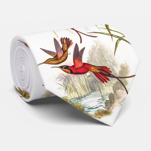 Vintage Kolibris Krawatte (Gerollt)