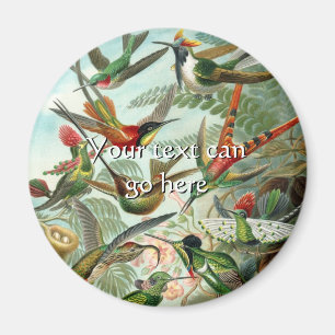 Vintage Kolibris Magnet