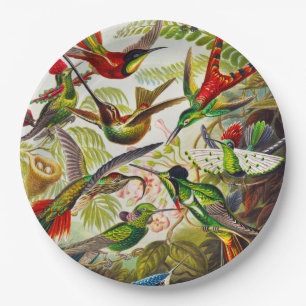 Vintage Kolibris von Ernst Haeckel Pappteller