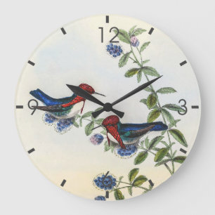 Vintage Kolibris von John Gould Große Wanduhr