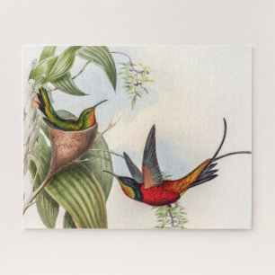 Vintage Kolibris von John Gould Puzzle
