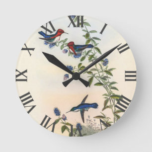 Vintage Kolibris von John Gould Runde Wanduhr