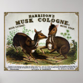 Vintage Kölner Werbung Poster (Vorne)