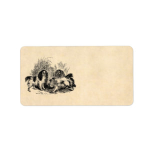 Vintage Königcharles Spaniel-Hunde1800s Spaniels Adressaufkleber