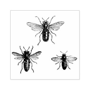 Vintage Königin Biene & arbeitende Bienen Illustra Gummistempel