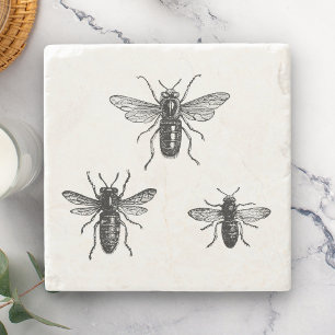 Vintage Königin Biene & arbeitende Bienen Illustra Steinuntersetzer