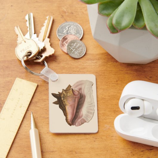 Vintage Königin Conch Seashell Muschel, Meerestier Schlüsselanhänger (Schreibtisch)