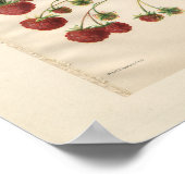 Vintage Königliche Kirche Himbeerdrucken Poster (Ecke)