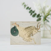 Vintage Konstellation Illustration Poster Postkarte (Stehend Vorderseite)