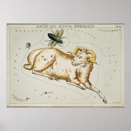 Vintage Konstellation Poster (Vorne)