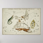 Vintage Konstellation Poster (Vorne)