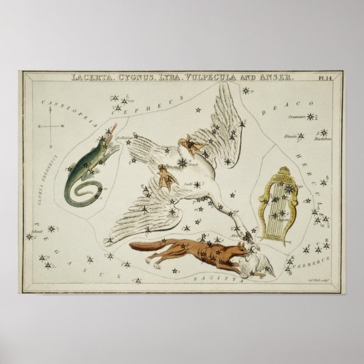 Vintage Konstellation Poster (Vorne)