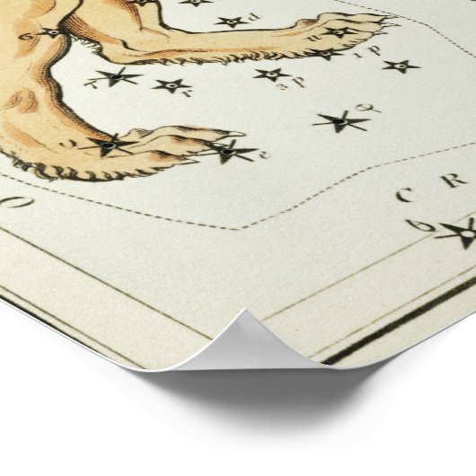 Vintage Konstellation Poster (Ecke)