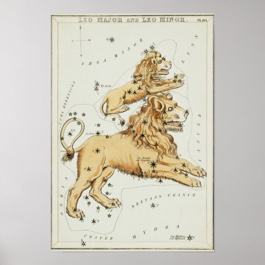 Vintage Konstellation Poster (Vorne)