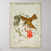 Vintage Konstellation Poster (Vorne)